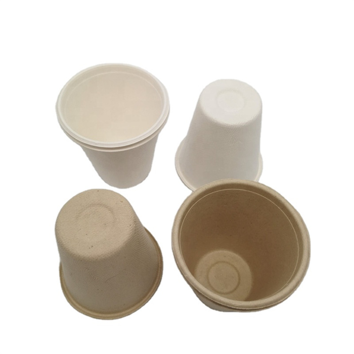 sugarcane cup from mmcis china